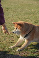 DSC08256